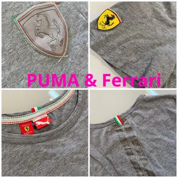 PUMA & Ferrari 콜라보레이션 티셔츠 M 사이즈