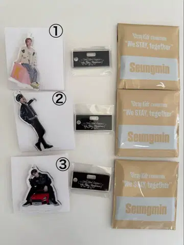 StrayKids 전시회 승민 아크릴 스탠드 (낱개 판매 가능)