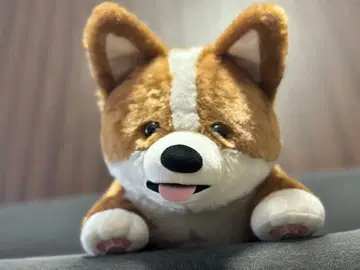 FANS 코기 봉제 인형 XL 프리미엄