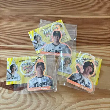 한신 메지루시 모리시타 치카모토 나카노