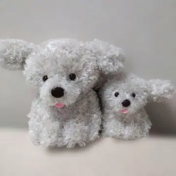 토이푸들의 모코피 모두 건강 ST&LMC 무쿠피 그레이 토이 푸들