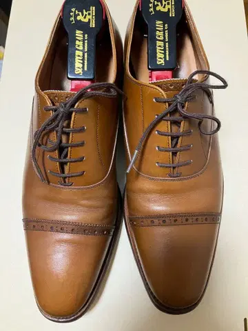 스코치 그레인 브로든 248 브라운 25cm EEE