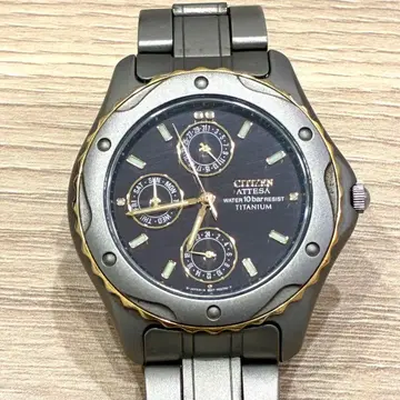 시티즌 아테사 에코드라이브 티타늄 8625-H01261