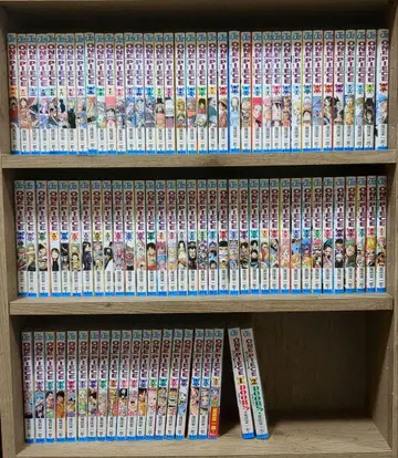 원피스 1-91 도어즈 1-2