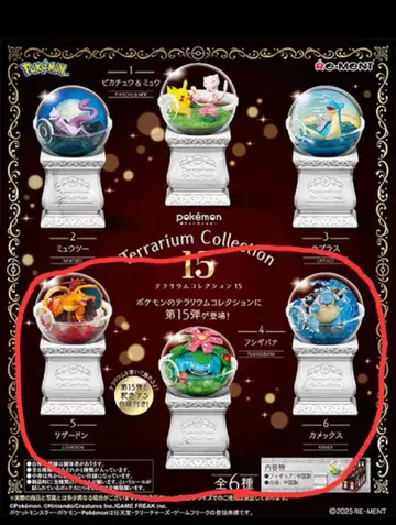 포켓몬 테라리움 컬렉션 15 리자몽 이상해꽃 거북왕