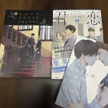 히다카 쇼코 [우울한 아침 NOBLE COLORS] 외