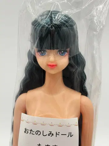 타마키 리카짱 캐슬 오타노시미 인형 검정 남색 계열 헤어 제니 프렌드