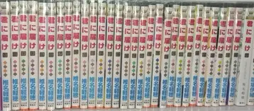 너에게 닿기를 전권