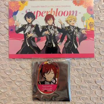 앙스타 카라테츠 아크링 키링 엽서 사카사키 나츠메 Switch