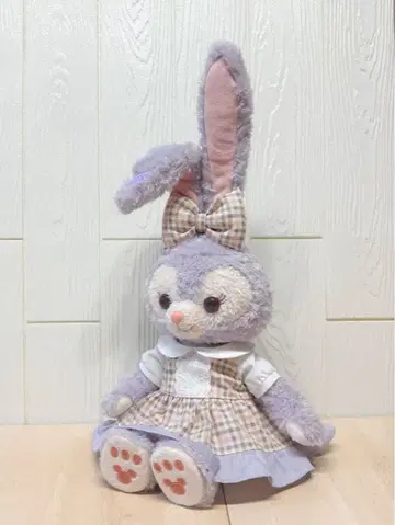 S 사이즈 리나벨 스텔라 루 쿠키 앤 코스튬