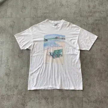 90s~ Hanes 아트 T셔츠 USA 구제 의류 그래픽 XL