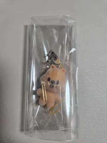 SKZOO 시크릿 미니 참 한쿼카