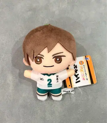 하이큐!! 미니 콜렉션 봉제 인형 마스코트 다테 공업 고교 후타쿠치 켄지
