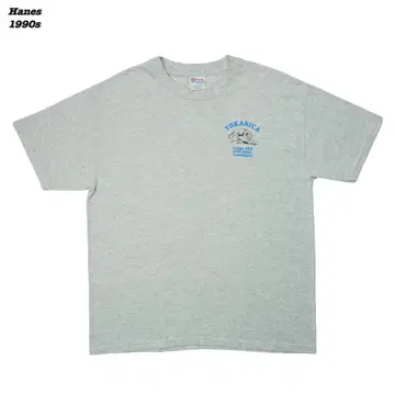 Hanes T-SHIRTS 1990s T033