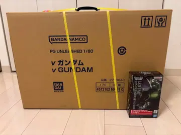 PG UNLEASHED 1/60 v 건담