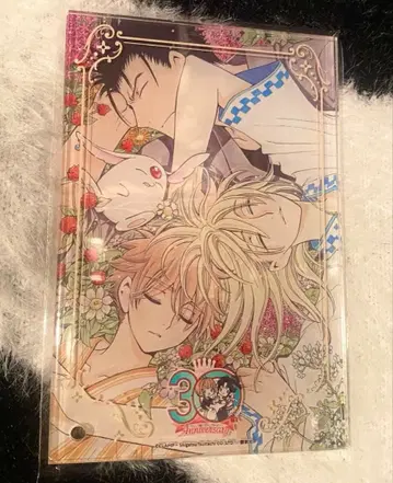 CLAMP 30주년 츠바사 아크릴 섀도우 박스