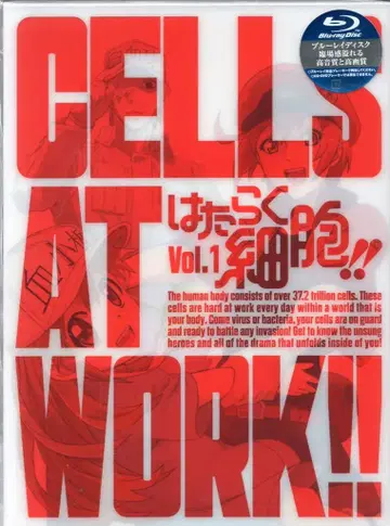 애니플렉스 애니메이션 Blu-ray 일하는 세포!! 완전 생산 한정판 1
