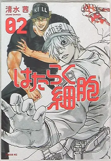 코단샤 시리우스KC 시미즈 아카네 일하는 세포 2