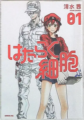 코단샤 시리우스KC 시미즈 아카네 일하는 세포 1