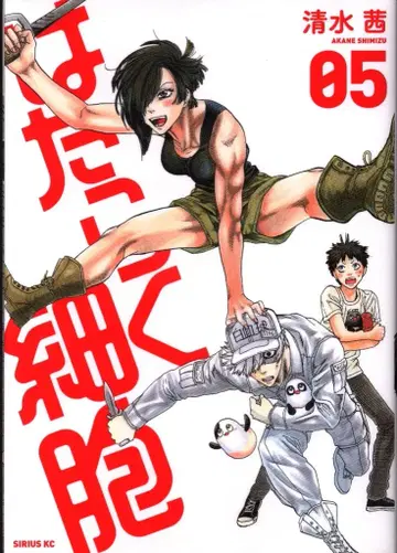 코단샤 시리우스KC 시미즈 아카네 일하는 세포 5