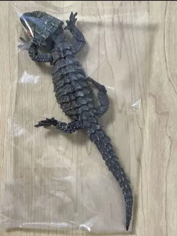 붉은가슴가부토도마뱀 (다크 브라운) 생물대도감 어드밴스 피규어