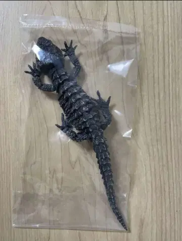 아카메가부토 도마뱀 (블랙) 생물대도감 어드밴스 생물 가챠