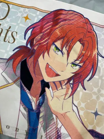 앙스타 스타포니 타월 츠키나가 레오