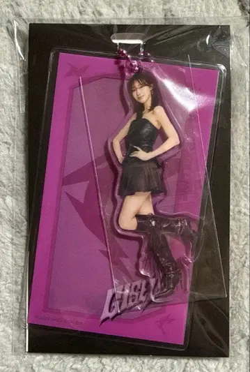 aespa 돔 투어 굿즈 아크릴 키링&케이스 세트 지젤