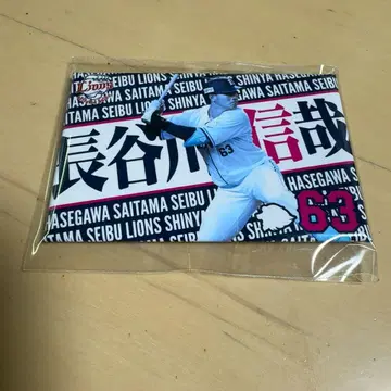 사이타마 세이부 라이온즈 픽업 플레이어스 캔뱃지 하세가와 신야