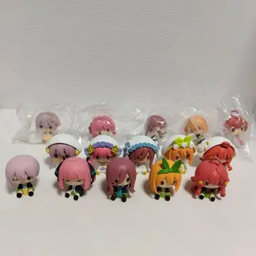 5등분의 신부 쵸코놋코 15개