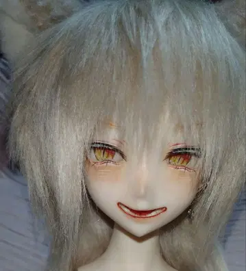 ddh09 커스텀 헤드 돌피드림 구체관절 인형