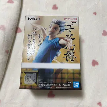 하이큐!! 에이스의 마음가짐 보쿠토 코타로 피규어