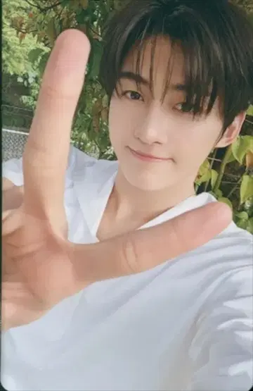 TWS UMS JIHOON 하지메마시테