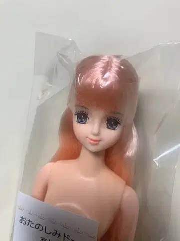 즐거운 인형 제니 프렌드 아야노 리카짱 캐슬 아야노