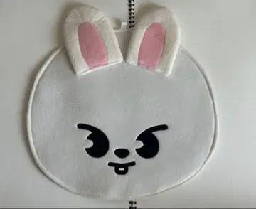 스트레이 키즈 스키즈 리 비트 부채