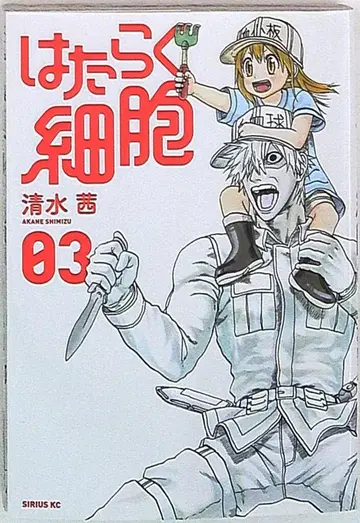 코단샤 시리우스KC 시미즈 아카네 일하는 세포 3