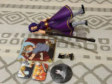 히로아카 묶음 판매 피규어 카드