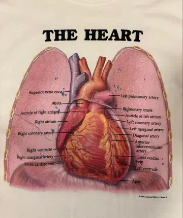 90s 아나토미컬 심장 해부도 티셔츠