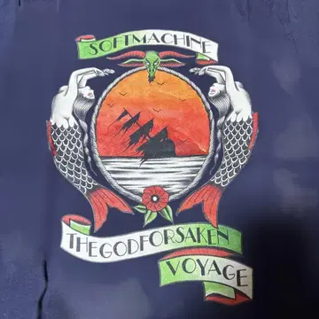 소프트 머신 세이렌 T