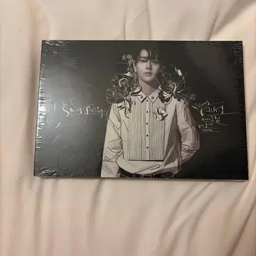 예성 SPRING FALLING 2ND super junior CD