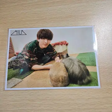 요시다 진토 24th birthday 브로마이드