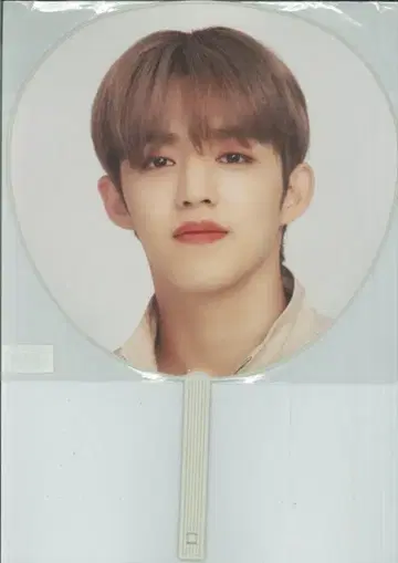 SEVENTEEN 20년 JAPAN DOME TOUR S.COUPS 부채
