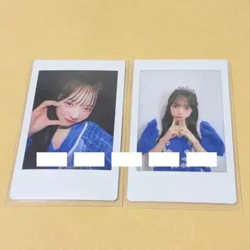 마스다 아야노 유니폼 트위드 의상 폴라로이드 세트