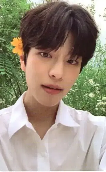 StrayKids NOEASY 승민 트레이딩 카드 꽃