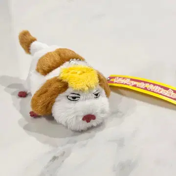 하울의 움직이는 성 힌 키링