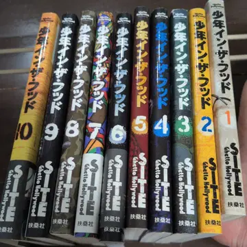 소년 인 더 플러드 전 10권 세트