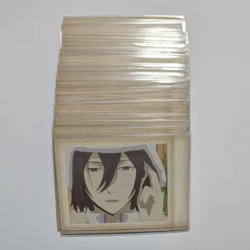 효도르 D 파샤코레