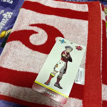 포켓몬 카브 타월