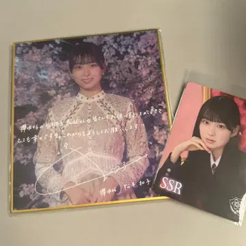 메루카리 택배 사쿠라자카46 마츠모토 카즈코 미니 색지, 리얼 카드 세트