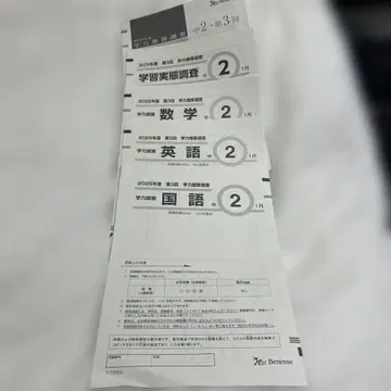 베네세 2025학년도 중2 제3회 학력 조사